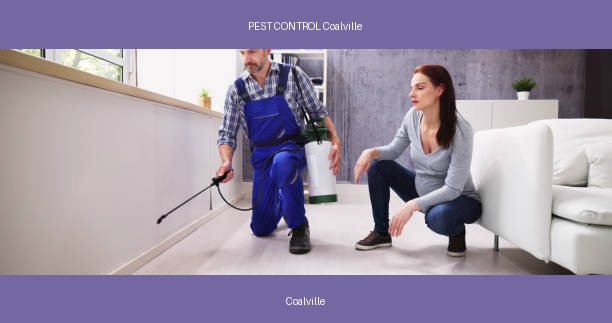 PEST CONTROL Coalville